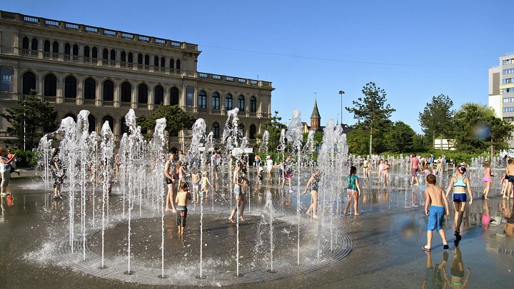В Калининградской области 40 человек пострадали от теплового удара