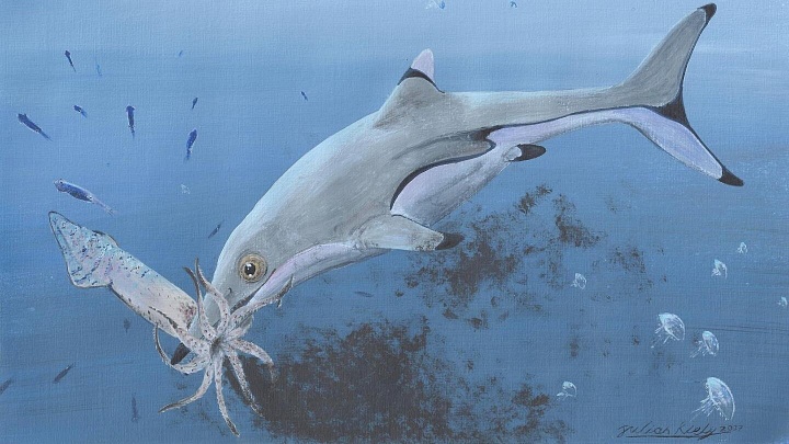 Ученые в Британии идентифицировали новый вид ихтиозавра