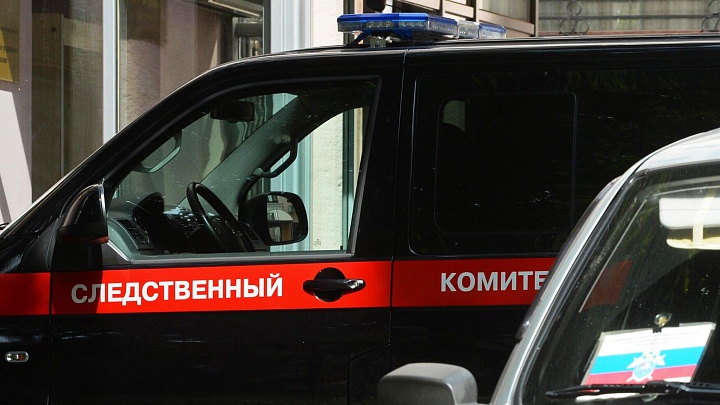 СК начал проверку после гибели сторожа от нападения медведя под Красноярском